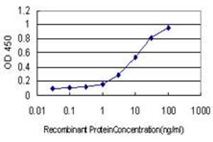 Detection limit for recombinant GST tagged RNASEL is approximately 0.