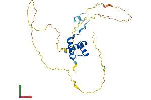 AlphaFold protein structure predicition of Mouse Recombinant Isx Protein, UniprotID A1A546
