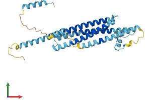 Protein Structure (PS) image for Syntaxin 11 (STX11) (AA 1-287) protein (His tag) (ABIN7544040)