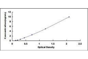 Midkine (Neurite Growth-Promoting Factor 2) (MDK) ELISA Kit