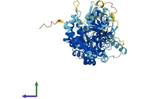 AlphaFold protein structure predicition of Mouse Recombinant Mcmdc2 Protein, UniprotID E9Q956