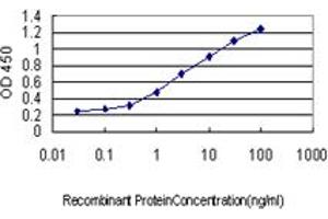 Detection limit for recombinant GST tagged DCP1A is approximately 0. (DCP1A antibody  (AA 186-285))