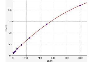 Parathyroid Hormone (PTH) ELISA Kit