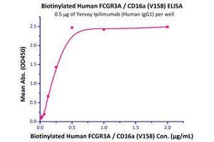 Immobilized Yervoy Ipilimumab at 5 μg/mL (100 μl/well) can bind Biotinylated Human FCGR3A / CD16a (V158) (Cat# CDA-H82E9) with a linear range of 0.