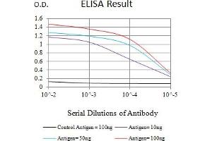 Black line: Control Antigen (100 ng),Purple line: Antigen (10 ng), Blue line: Antigen (50 ng), Red line:Antigen (100 ng) (MLL3 antibody  (AA 1-205))