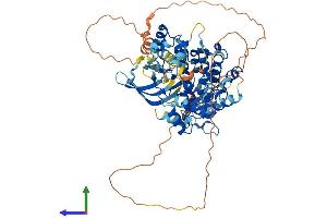 AlphaFold protein structure predicition of Human Recombinant TNK1 Protein, UniprotID Q13470 (TNK1 Protein (AA 1-666) (His tag))