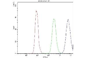 Flow Cytometry analysis of SiHa cells using anti-PPT1 antibody (ABIN3043357). (PPT1 antibody  (C-Term))