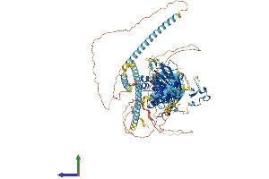AlphaFold protein structure predicition of Human Recombinant MORC3 Protein, UniprotID Q14149