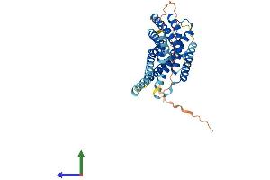 AlphaFold protein structure predicition of Human Recombinant GPR34 Protein, UniprotID Q9UPC5