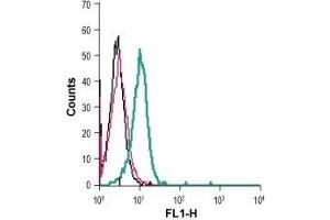 Flow Cytometry (FACS) image for anti-EPH Receptor B4 (EPHB4) (AA 472-486), (Extracellular) antibody (ABIN7043127)