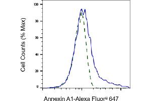Validation of Annexin A1 knockdown using flow cytometry.