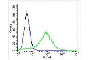 Flow Cytometry (FACS) image for anti-Keratin 18 (KRT18) (AA 401-430) antibody (ABIN3031537)