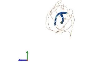 Protein Structure (PS) image for Keratin 2 (KRT2) (AA 1-707) protein (His tag) (ABIN7557087)