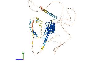 Protein Structure (PS) image for Leiomodin 1 (LMOD1) (AA 1-600) protein (His tag) (ABIN7549155)