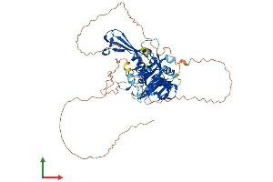 AlphaFold protein structure predicition of Human Recombinant USP17L11 Protein, UniprotID C9JVI0 (USP17L11 Protein (AA 1-530) (His tag))