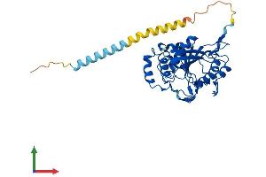 Protein Structure (PS) image for UDP-Gal:betaGlcNAc beta 1,4- Galactosyltransferase, Polypeptide 4 (B4GALT4) (AA 1-344) protein (His tag) (ABIN7561566)