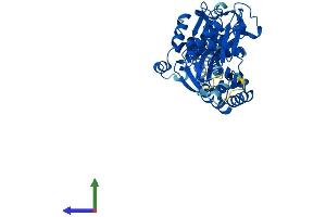 Protein Structure (PS) image for Ectonucleoside Triphosphate diphosphohydrolase 8 (ENTPD8) (AA 1-497) protein (His tag) (ABIN7559438)
