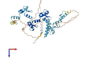 AlphaFold protein structure predicition of Human Recombinant ZNF649 Protein, UniprotID Q9BS31