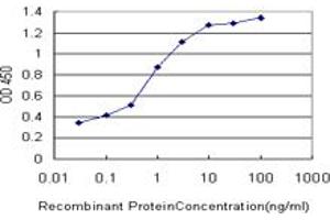 Detection limit for recombinant GST tagged PALM is approximately 0. (Paralemmin antibody  (AA 176-284))