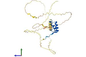 AlphaFold protein structure predicition of Mouse Recombinant Meox2 Protein, UniprotID P32443