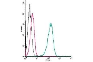 Flow Cytometry (FACS) image for anti-Adrenergic, beta-2-, Receptor, Surface (ADRB2) (AA 15-30), (Extracellular) antibody (PE) (ABIN7042906)