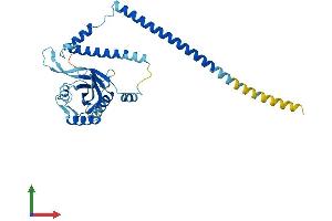 AlphaFold protein structure predicition of Mouse Recombinant Psmd7 Protein, UniprotID P26516