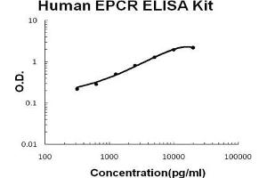 Human EPCR PicoKine ELISA Kit standard curve (PROCR ELISA Kit)