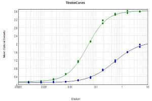 ELISA results of purified Polyclonal anti-beta amyloid 42 antibody tested against BSA-conjugated beta amyloid 42 peptide (green) and BSA-conjugated beta amyloid 40 peptide (blue). (Abeta 1-42 antibody  (C-Term))