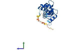 AlphaFold protein structure predicition of Mouse Recombinant Cetn1 Protein, UniprotID P41209 (Centrin 1 Protein (AA 1-172) (His tag))