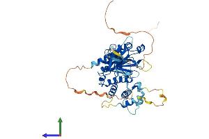AlphaFold protein structure predicition of Mouse Recombinant Frmd8 Protein, UniprotID Q3UFK8