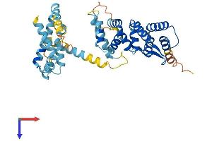 AlphaFold protein structure predicition of Human Recombinant FANCF Protein, UniprotID Q9NPI8 (FANCF Protein (AA 1-374) (His tag))