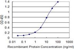 Detection limit for recombinant GST tagged BCL2L10 is 0. (BCL2L10 antibody  (AA 1-92))