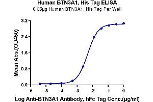 Immobilized Human BTN3A1, His Tag at 0. (BTN3A1 Protein (AA 30-254) (His tag))