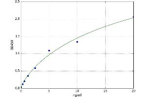 Carbonic Anhydrase 12 (CA12) ELISA Kit