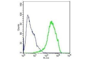 Flow Cytometry (FACS) image for anti-Actin, beta (ACTB) (AA 1-50) antibody (ABIN724340)