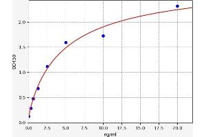 Prohibitin ELISA Kit