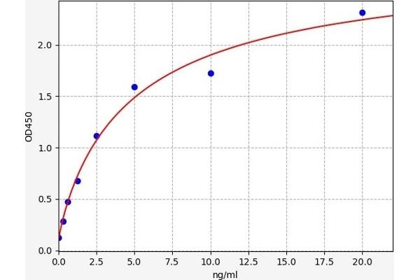 Prohibitin ELISA Kit