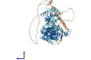 AlphaFold protein structure predicition of Mouse Recombinant Atp2b2 Protein, UniprotID Q9R0K7 (ATP2B2 Protein (AA 1-1198) (His tag))