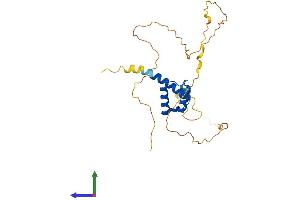 AlphaFold protein structure predicition of Human Recombinant HOXA5 Protein, UniprotID P20719