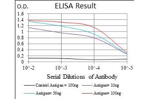 Fig. (CD15 antibody  (AA 199-302))