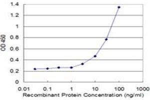 Detection limit for recombinant GST tagged MMP23B is approximately 3ng/ml as a capture antibody. (MMP23B antibody  (AA 241-340))