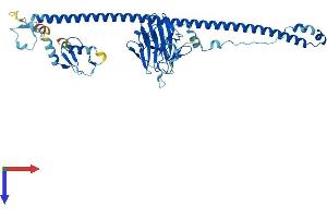 Protein Structure (PS) image for Tripartite Motif Containing 62 (TRIM62) (AA 1-475) protein (His tag) (ABIN7544722)