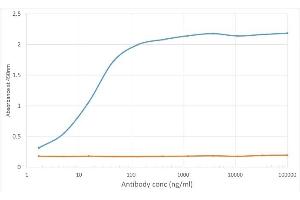 ELISA of anti-VISTA antibody on VISTA-Fc fusion protein. (Recombinant VISTA antibody)