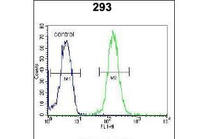 Flow cytometric analysis of 293 cells (right histogram) compared to a negative control cell (left histogram). (ZBTB10 antibody  (C-Term))