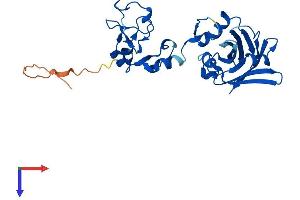 SIAH1 Protein (AA 1-282) (His tag)