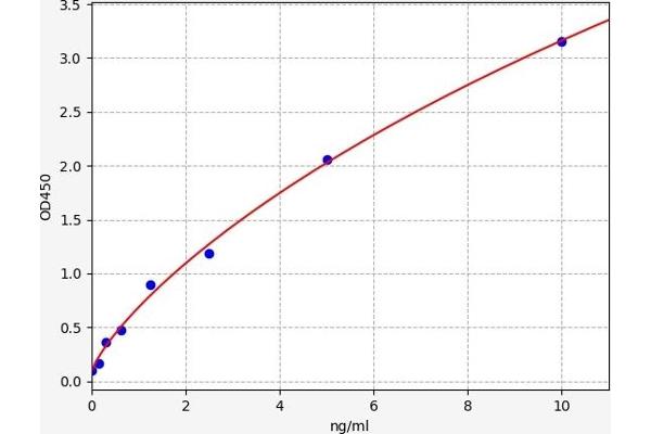 HOGA1 ELISA Kit