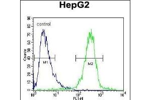 IGF2BP2 Antibody (C-term) (ABIN654086 and ABIN2843974) flow cytometric analysis of HepG2 cells (right histogram) compared to a negative control cell (left histogram). (IGF2BP2 antibody  (C-Term))
