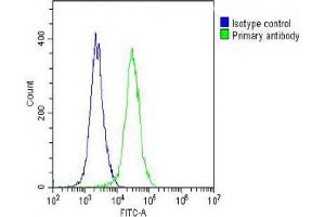 Overlay histogram showing  cells stained with A(green line). (ARV1 antibody  (N-Term))