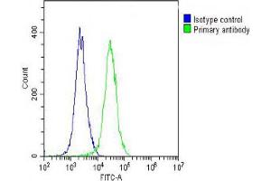 Overlay histogram showing  cells stained with A(green line). (ARV1 antibody  (N-Term))