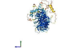 Protein Structure (PS) image for Fermitin Family Member 2 (FERMT2) (AA 1-680) protein (His tag) (ABIN7553944)